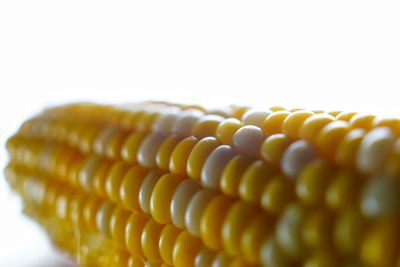 Close up of corn