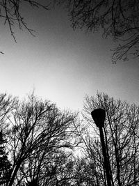 Low angle view of bare trees against sky