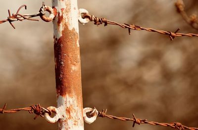 Close-up of barbed wire fence