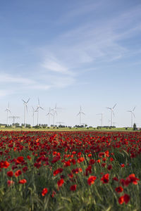 Wind turbines on field against sky