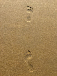 High angle view of footprints on beach