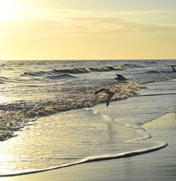 Scenic view of sea against sky during sunset