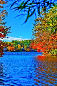 Scenic view of lake against blue sky during autumn
