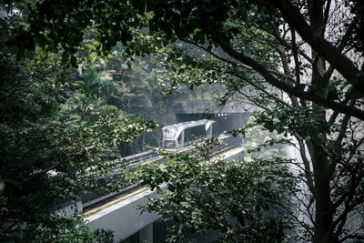 Low angle view of trees and buildings in city