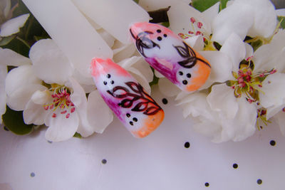 High angle view of butterfly on white flowers