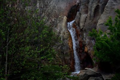Rock formations in a forest