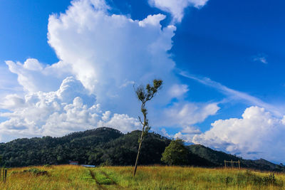 Scenic view of landscape against sky