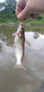 Hand holding fish in lake