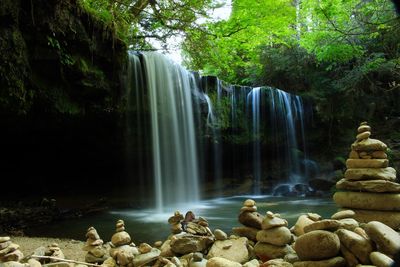 Scenic view of waterfall in forest