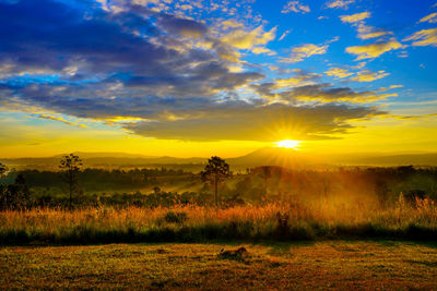 Scenic view of field against sky during sunset