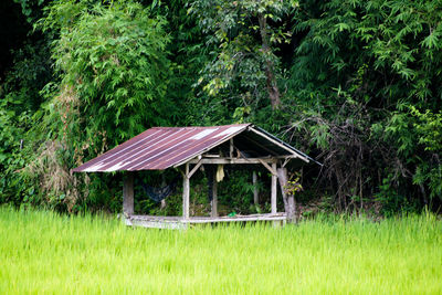 Built structure on field against trees