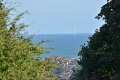 Close-up of plants against sky