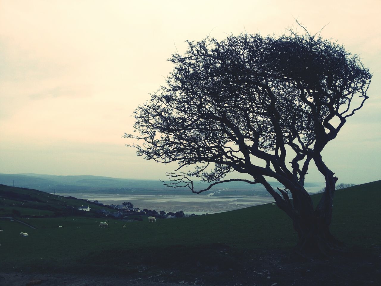 Aberdovey