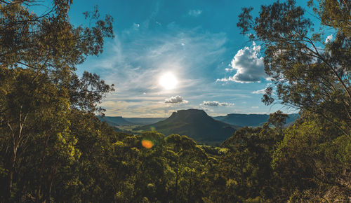 Scenic view of forest against sky