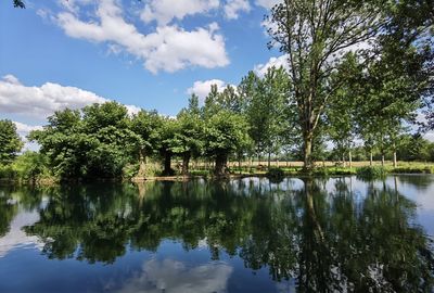 Trees by lake against sky