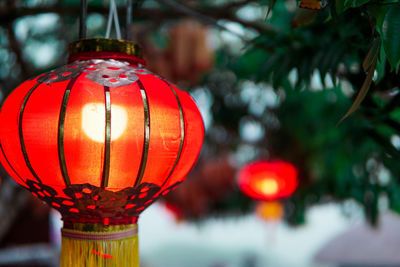 Close-up of illuminated lanterns hanging on tree