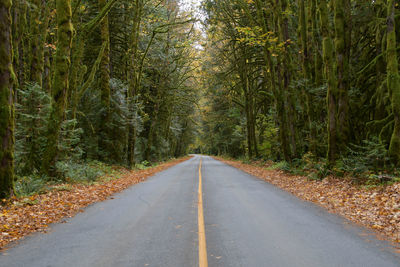 Empty road amidst trees in forest