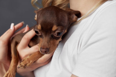 Close-up of woman holding dog