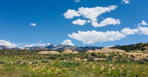 Scenic view of field against sky