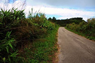 Road amidst field against sky