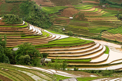 Tranquil scene of agricultural field