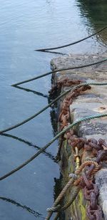 High angle view of rope on shore