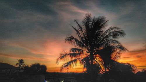 Silhouette of tree against sky during sunset