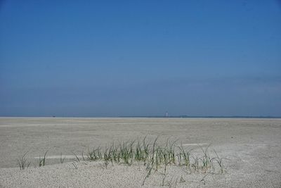 Scenic view of beach against clear blue sky