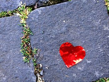 High angle view of red heart shape on plant