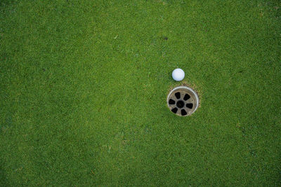 High angle view of golf ball on grassy field