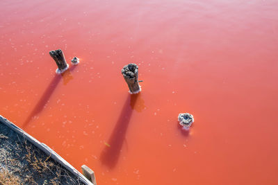 High angle view of pink water on land