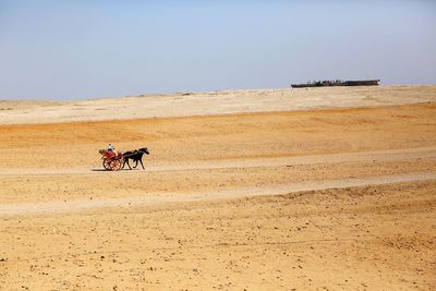 People riding horse cart at desert against clear sky