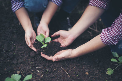 People gardening on field