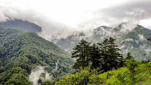 Scenic view of waterfall in forest against sky