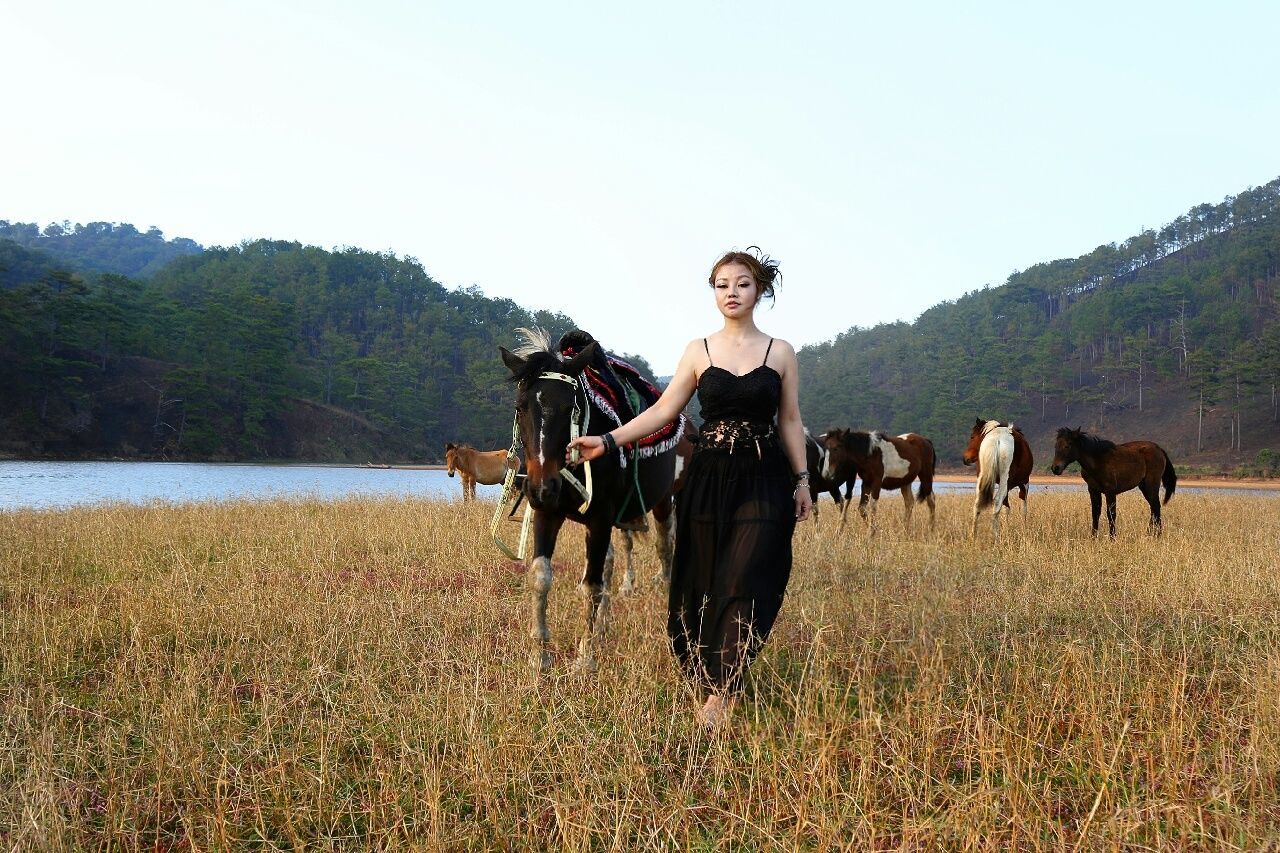 PORTRAIT OF SHEEP ON FIELD