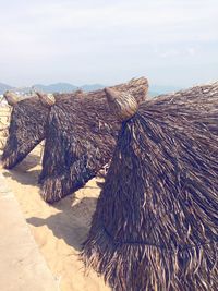 View of sea against sky