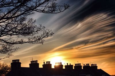 Low angle view of silhouette trees against sky