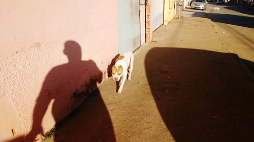 Rear view of men standing on sidewalk