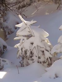 Close-up of snow covered landscape