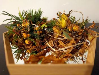 Close-up of pine cones on branch