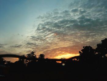 Low angle view of silhouette trees against sky during sunset