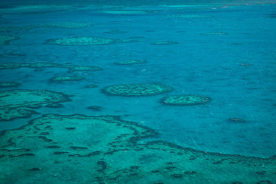 Aerial photos of great barrier reef 