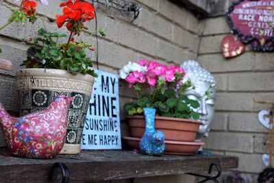 Potted plants on table