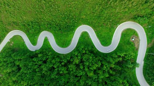 Close-up of warning sign on green grass
