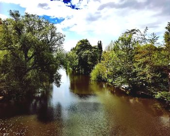 Scenic view of river amidst trees against sky