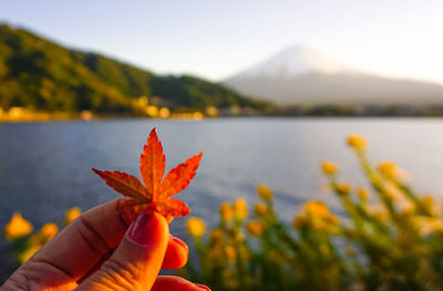 Close-up of hand holding leaf by lake against sky