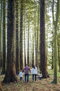 Rear view of family walking through the forest.