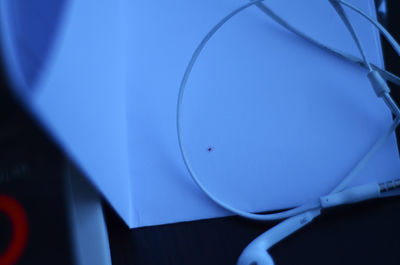 Low angle view of tree against blue sky