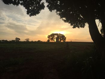 Silhouette trees on field against sky at sunset