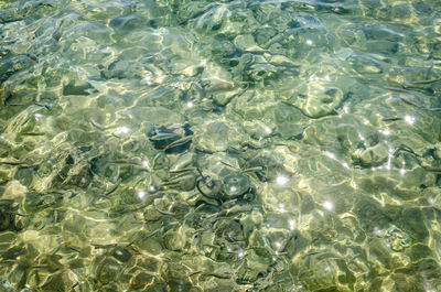 Full frame shot of water in swimming pool